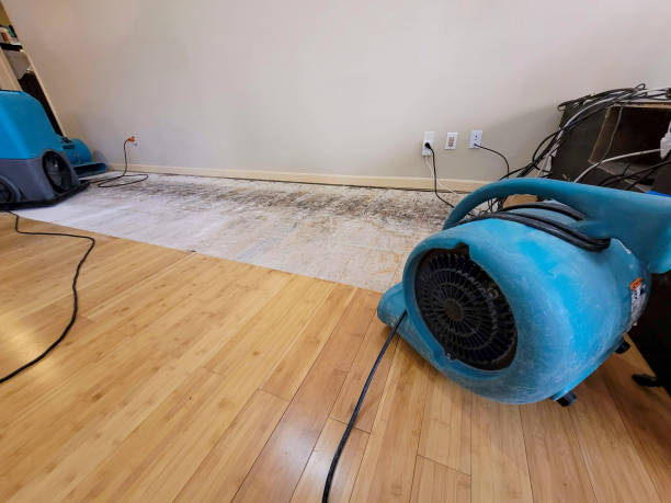 Reliable Basement Flood Cleanup contractor in Osseo, MN by Hirex Water Damage