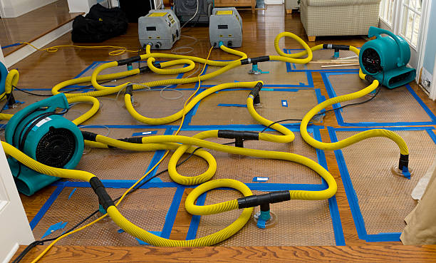 Professional Basement Flood Cleanup technician working in Osseo, MN